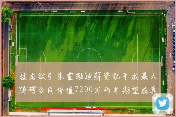 猛龙欲引朱霍勒迪薪资配平成最大障碍合同价值7200万两年期望成真