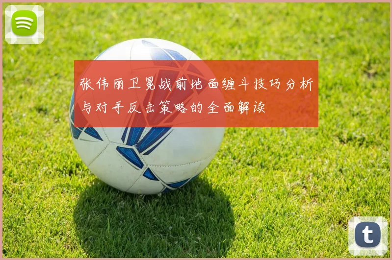 张伟丽卫冕战前地面缠斗技巧分析与对手反击策略的全面解读